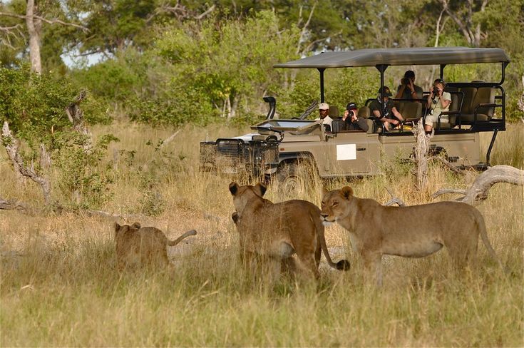 You are currently viewing 5 Days Queen Elizabeth and Kibale Forest