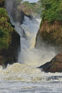 Read more about the article  3 Days Mighty Murchison Falls .