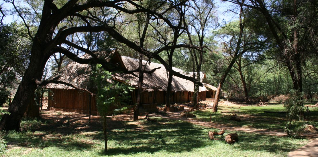 2 days tree lodge safari