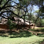 2 days tree lodge safari