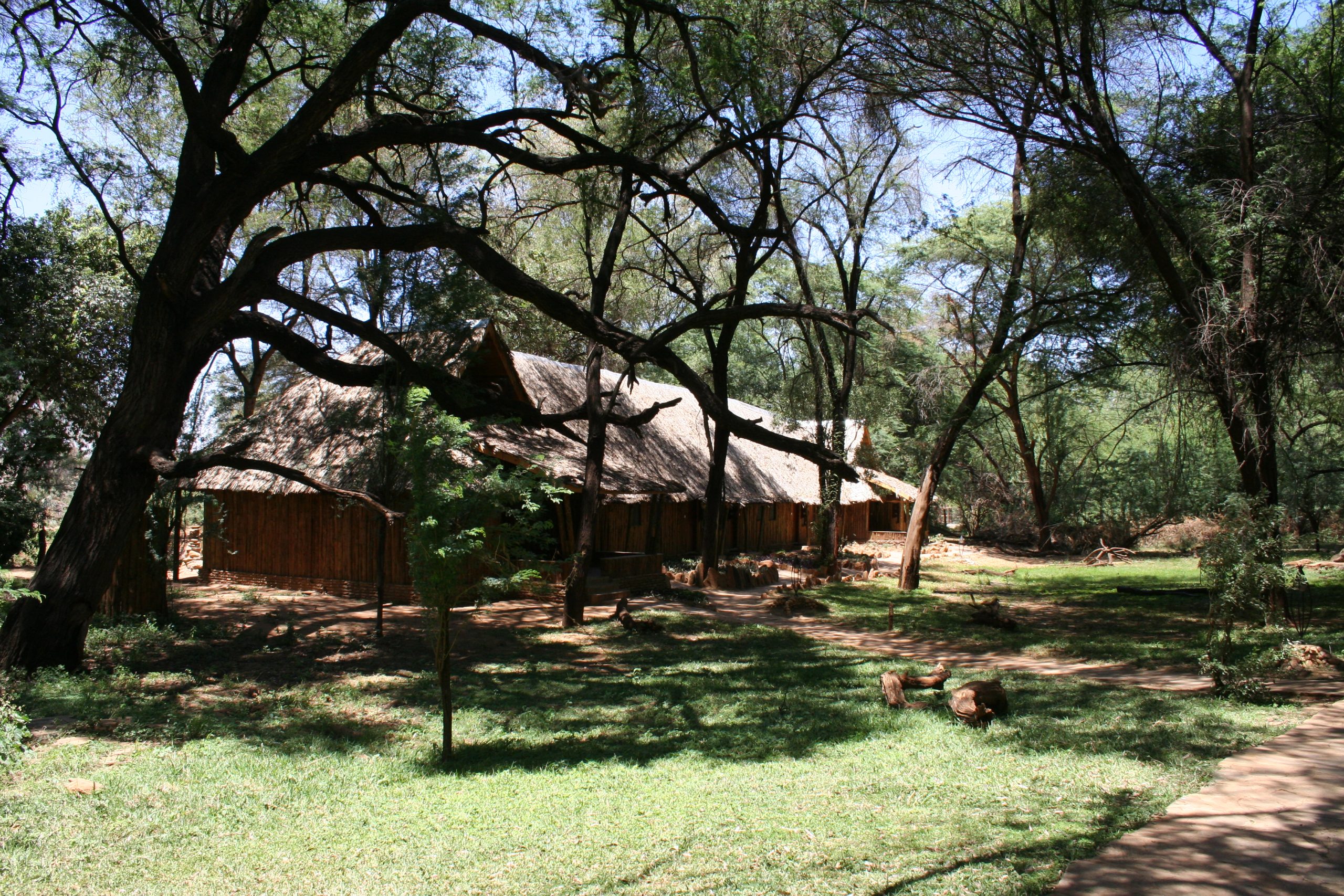 You are currently viewing 2 days tree lodge safari