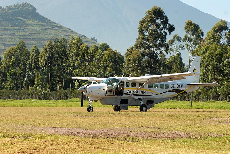 budget fly safari to bwindi and mgahinga