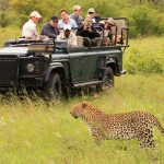 African safaris in November.