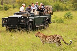 Read more about the article African safaris in November.