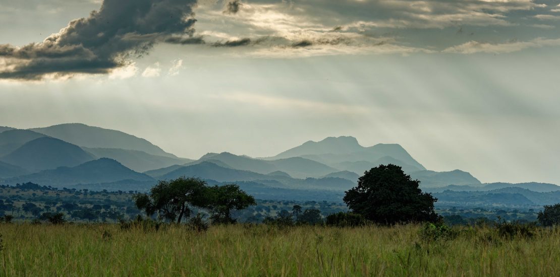 when to can i visit kidepo valley national park