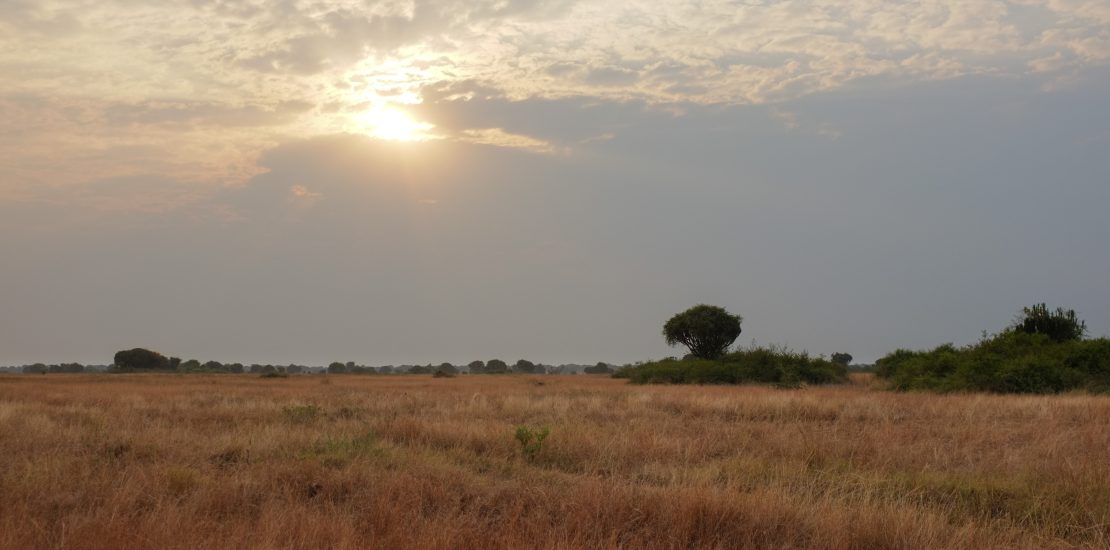 the best time to visit Queen Elizabeth National Park