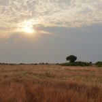 The best time to visit Queen Elizabeth National Park.