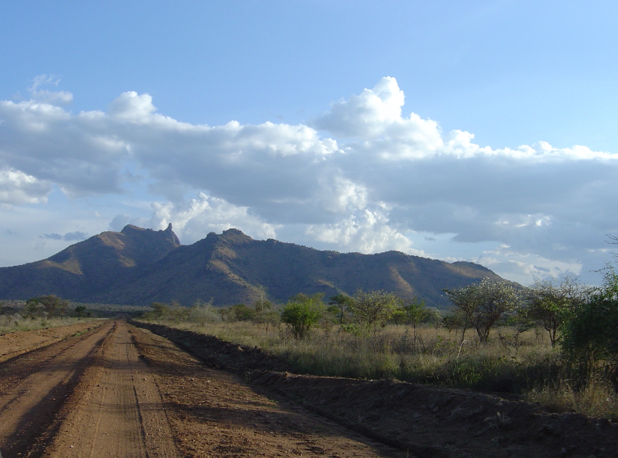 You are currently viewing Climbing Mountain Moroto-Uganda.