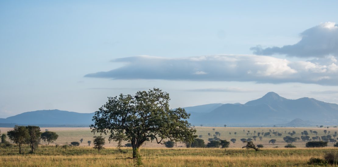 Kidepo Valley National Park