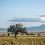 Kidepo Valley National Park