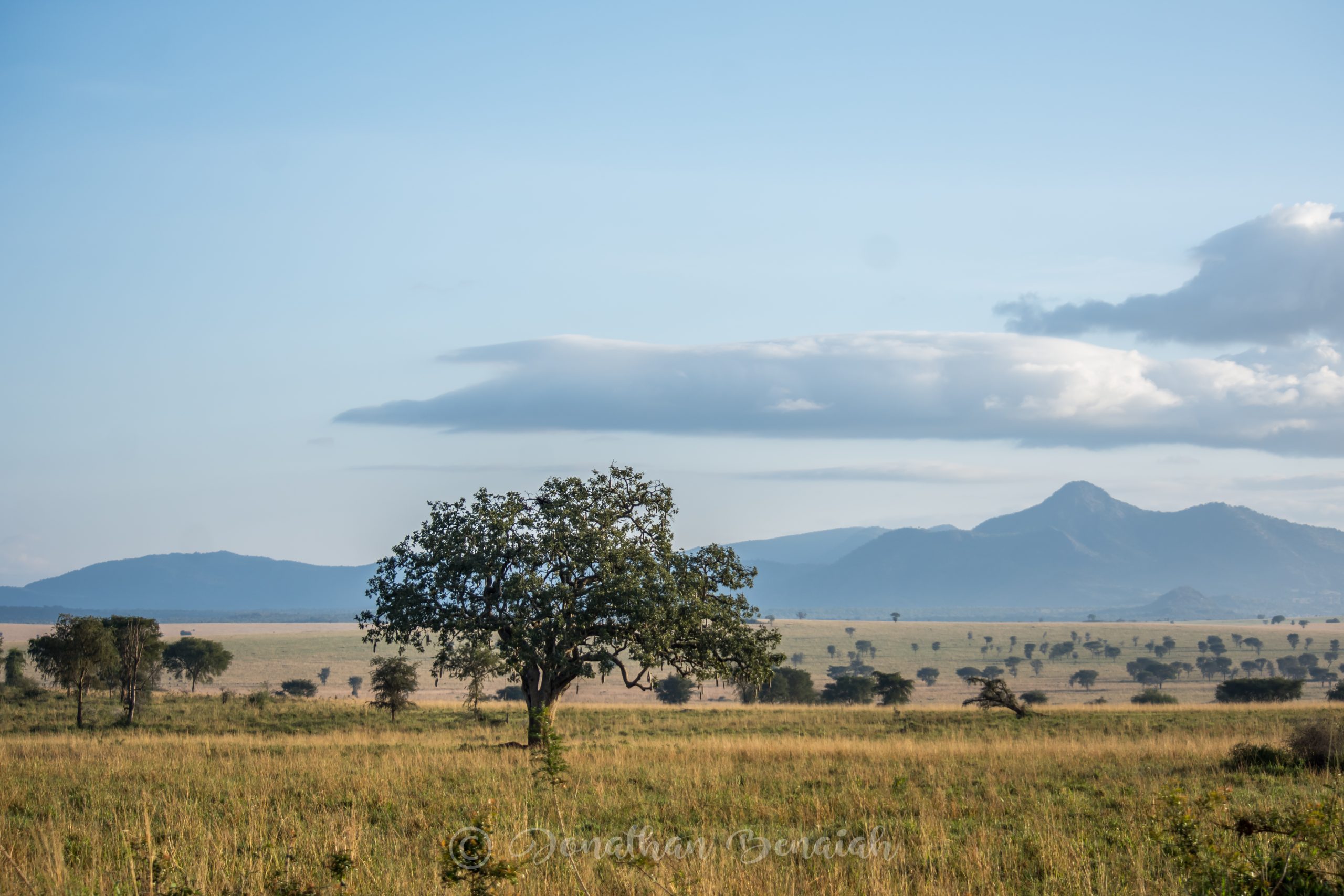 You are currently viewing Kidepo Valley National Park