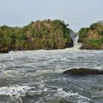 Why Murchison Falls is a Must-Visit Destination?.