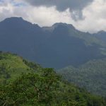 Mount Rwenzori National Park