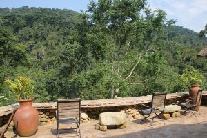 Read more about the article Luxury safari Lodges in Buhoma Region