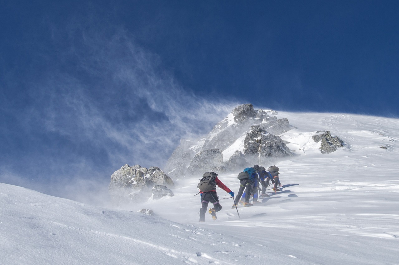 Read more about the article 2 days Rwenzori mountain climbing.