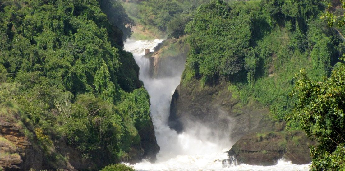 2 days Murchison falls safari.