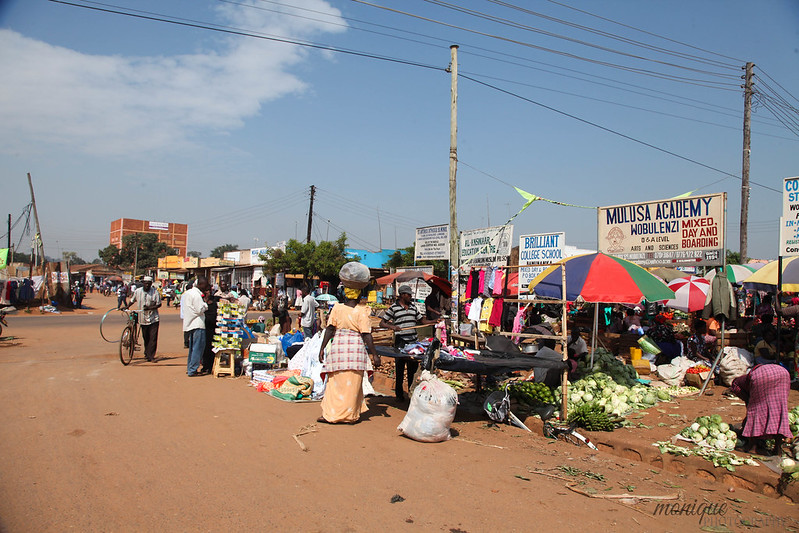 Read more about the article Visit Kihihi town, Kihihi airstrip, Kihihi to Bwindi