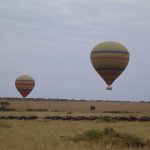 Hot air Balloon safari tour uganda