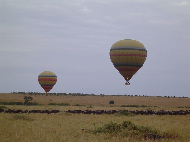 Read more about the article Hot air Balloon safari tour uganda