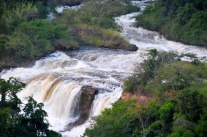 Read more about the article Uhuru falls.