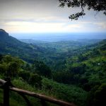 exploring the eastern Uganda safari