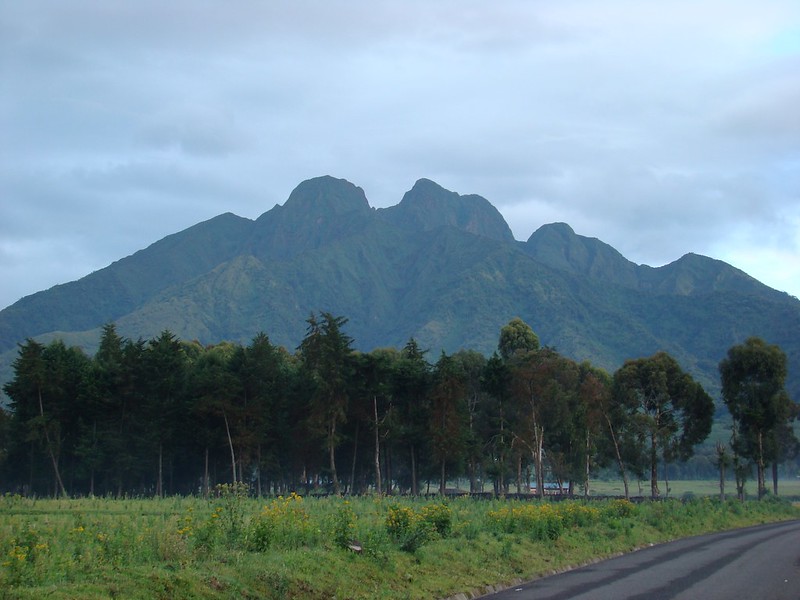 You are currently viewing Mount Bisoke.