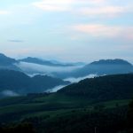 Night walks in Nyungwe Forest National Park.