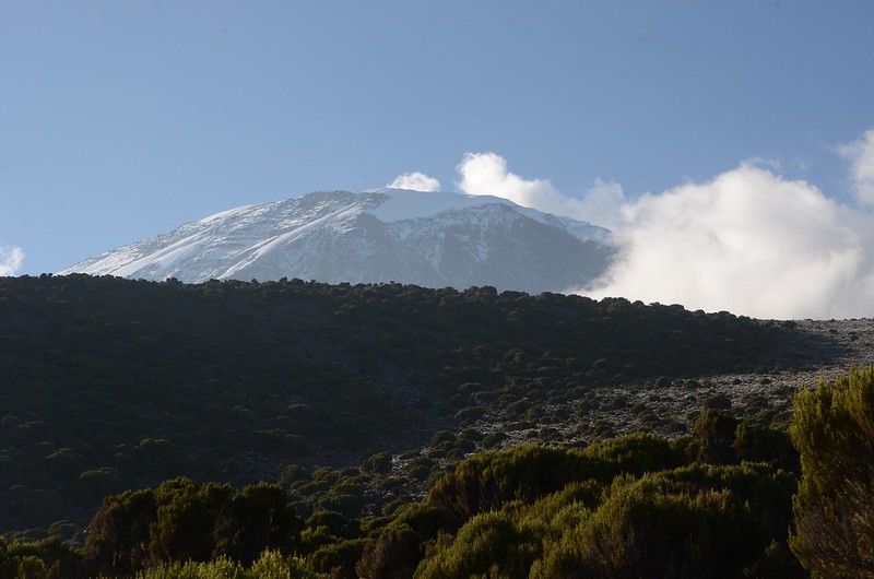 7 days climbing mountain Kilimanjaro via Machame route.