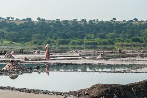 Read more about the article Lake Katwe Crater.