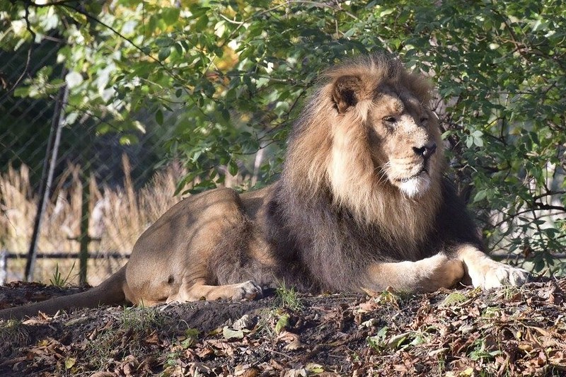 ecotourism in uganda