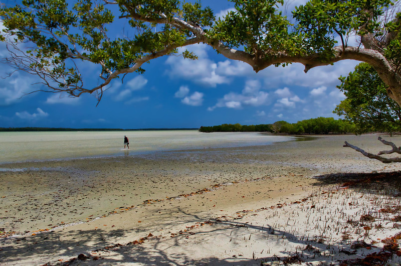 what marine parks are found in Kenya?