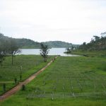 The coffee experience tour in Lake Kivu