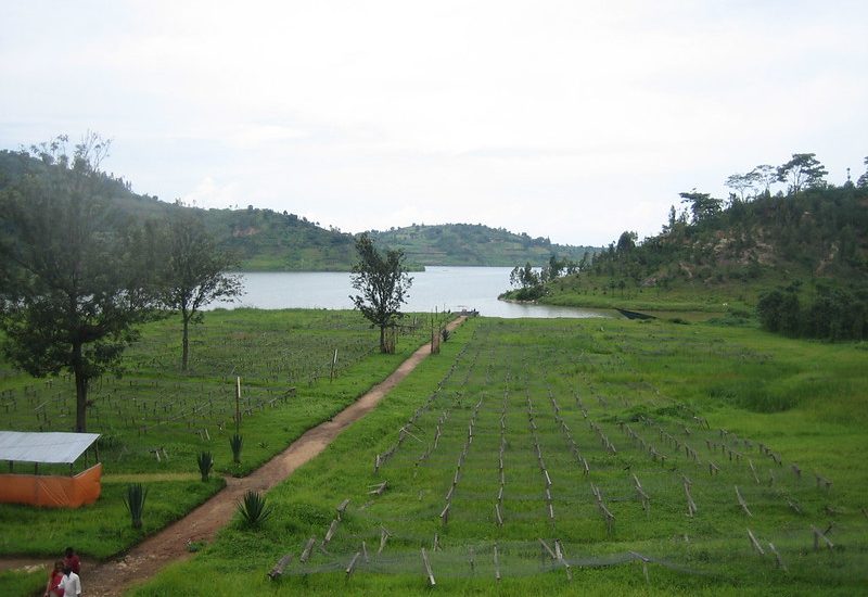 The coffee experience tour in Lake Kivu