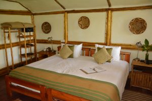 Read more about the article mid-range safari lodges