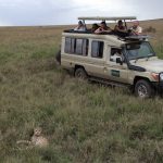 handling challenging guests on an African safari.