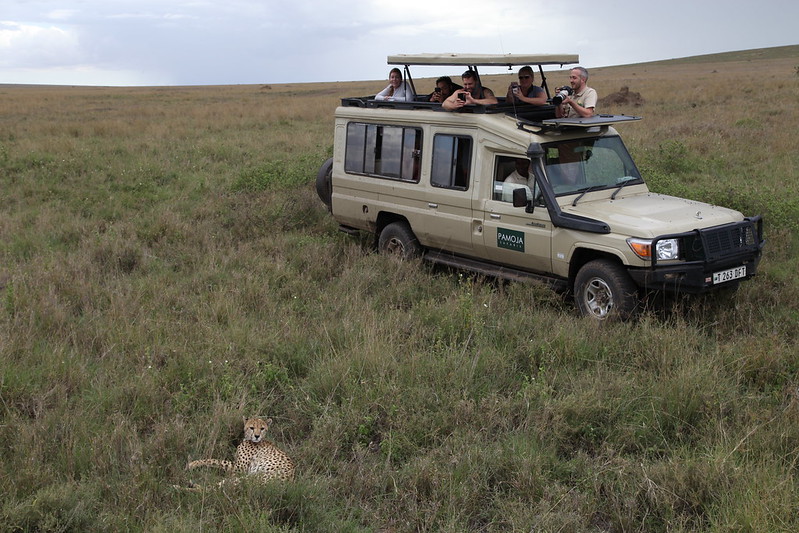 handling challenging guests on an African safari.