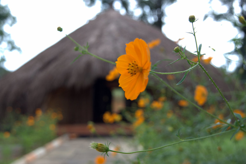 Exploring the Kabalega corridor and unveiling the legacy of a Ugandan hero.