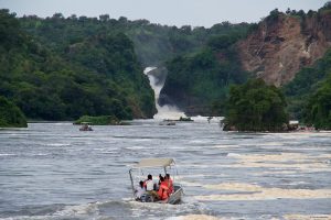 Read more about the article Nature walks and hiking in Murchison Falls