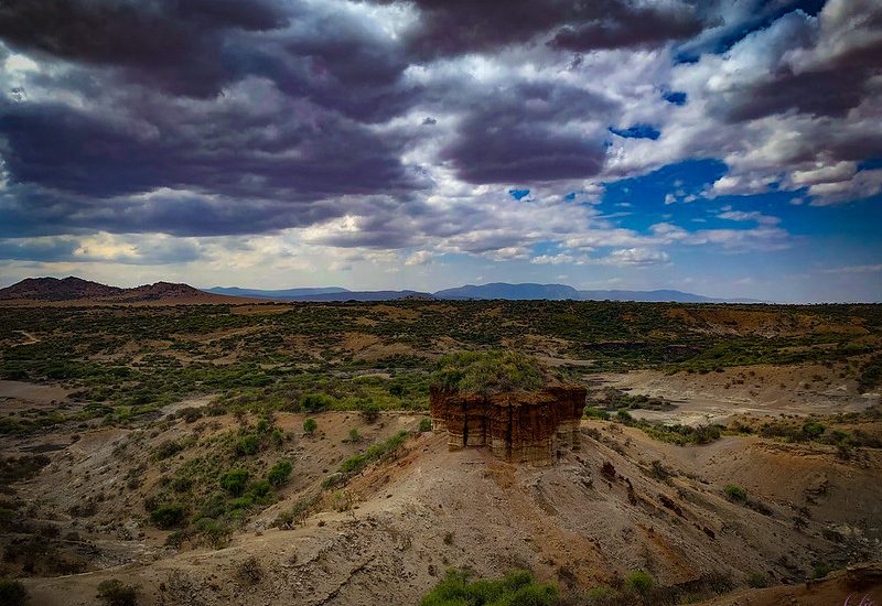 The Northern Circuit Safari of Tanzania.