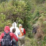 sustainable hiking tour in Uganda.