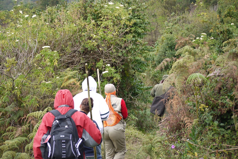 sustainable hiking tour in Uganda.