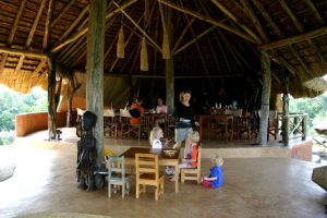 Read more about the article Mid-range Safari Lodges in Nkuringo Region