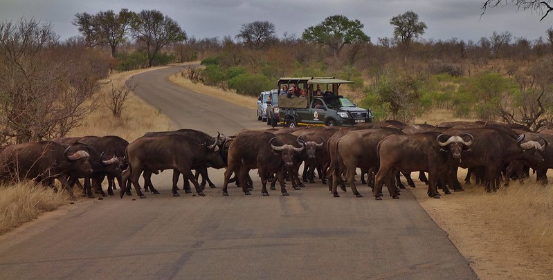 top activities and attractions in lake Mburo national park