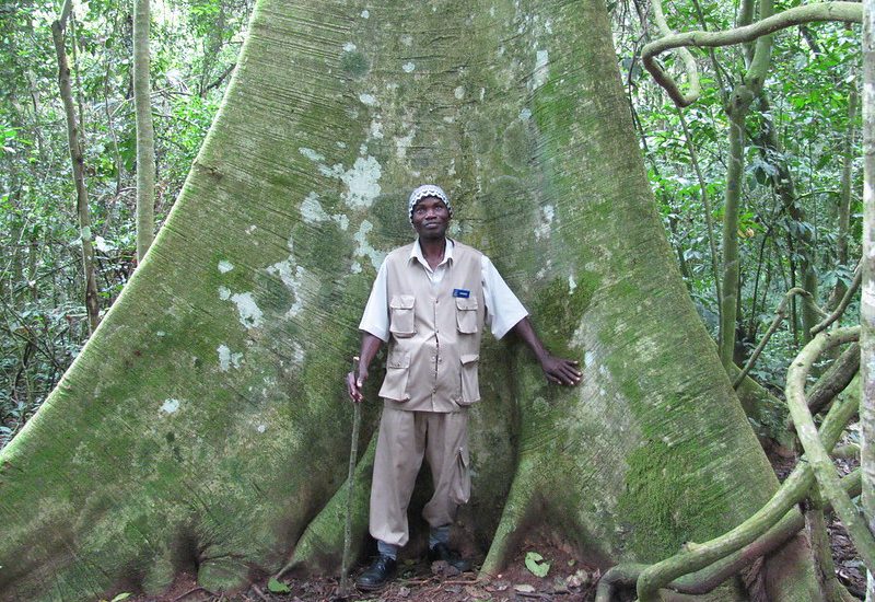 hiking and nature walks in Uganda