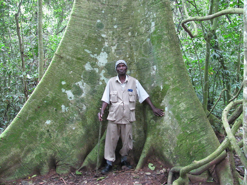 Read more about the article hiking and nature walks in Uganda