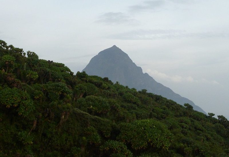 Mount Mikeno