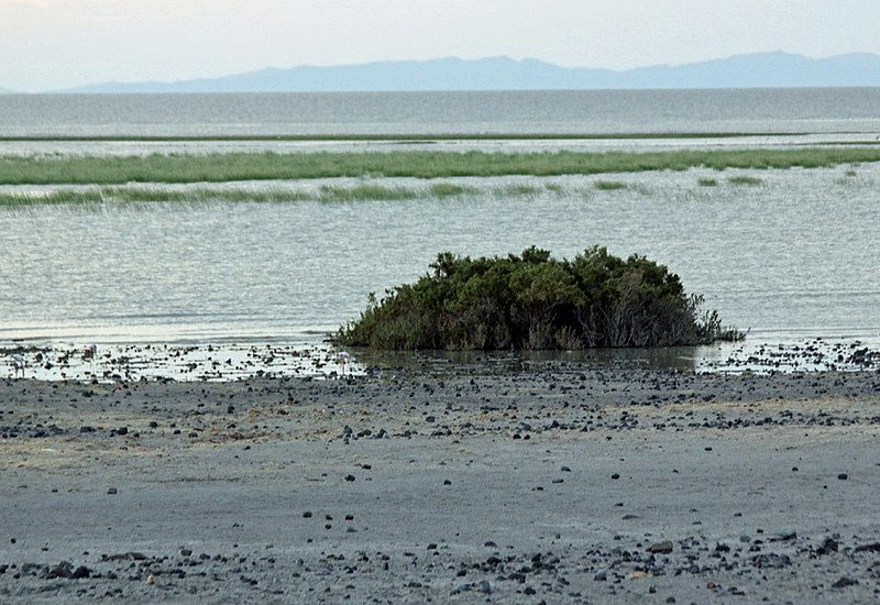 Sibiloi National Park