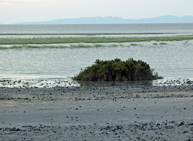 Read more about the article Sibiloi National Park