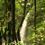 The Umubasi waterfall hiking in Nyungwe Forest National Park.