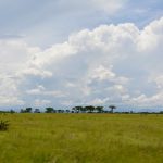 Uganda Scenery Tours